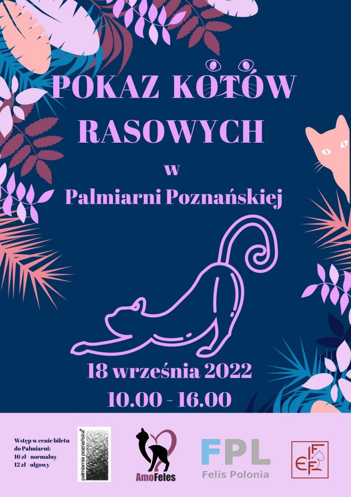 pokaz-kotow